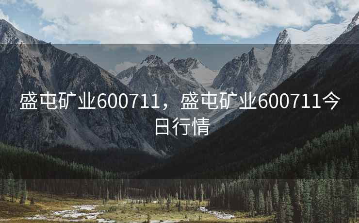 盛屯矿业600711，盛屯矿业600711今日行情