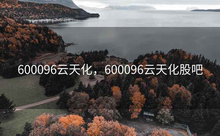 600096云天化，600096云天化股吧