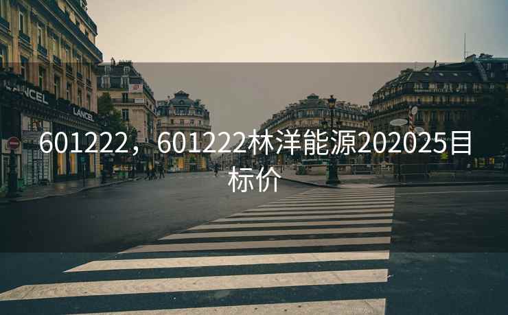 601222，601222林洋能源202025目标价