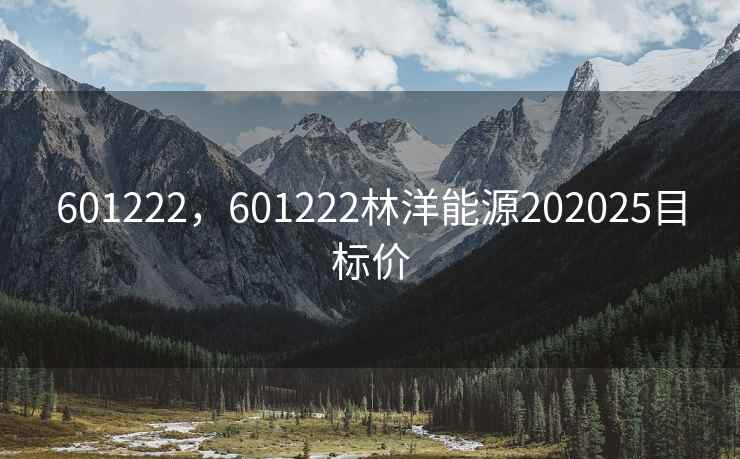601222，601222林洋能源202025目标价