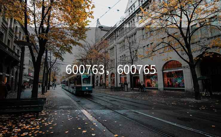 600763,600765 600763,600765