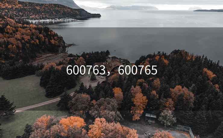 600763,600765 600763,600765