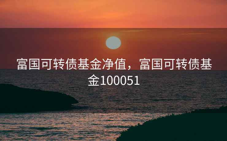 富国可转债基金净值，富国可转债基金100051