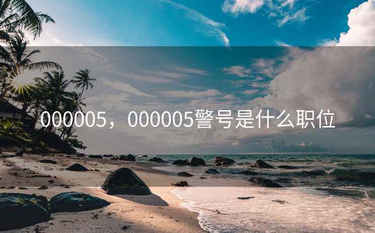 000005，000005警号是什么职位