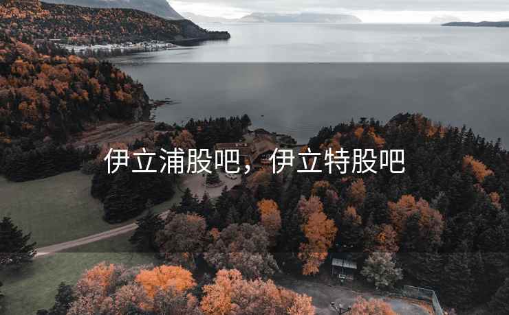 伊立浦股吧，伊立特股吧