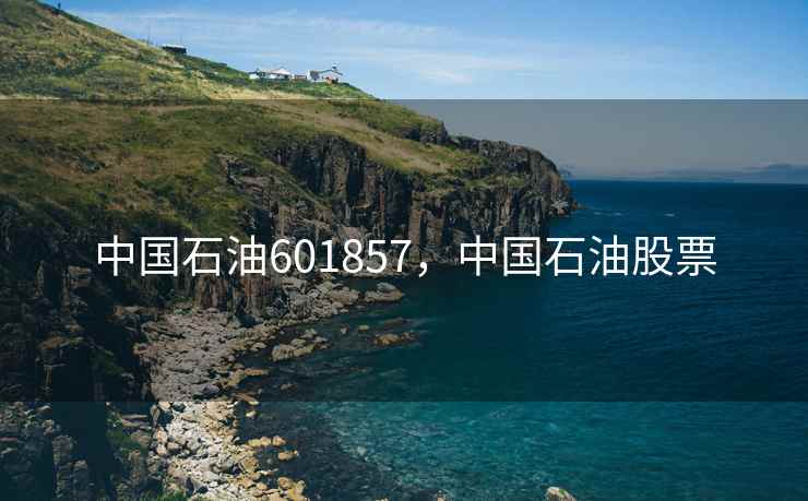 中国石油601857，中国石油股票
