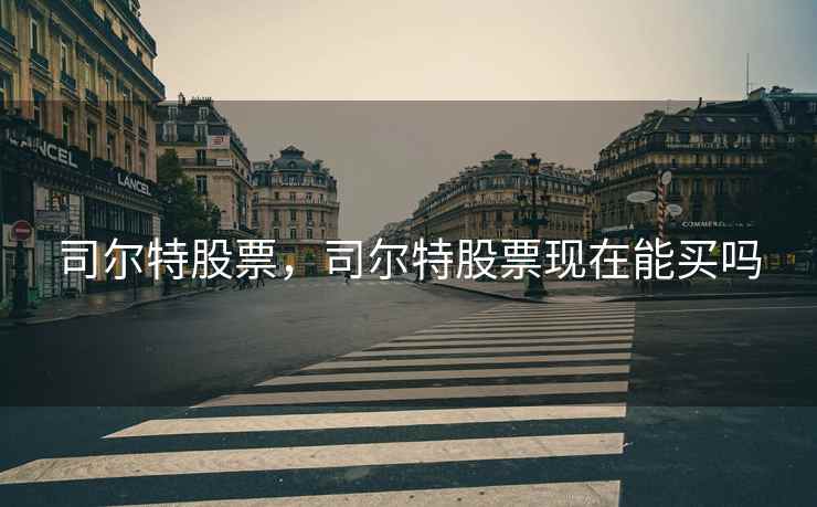 司尔特股票，司尔特股票现在能买吗