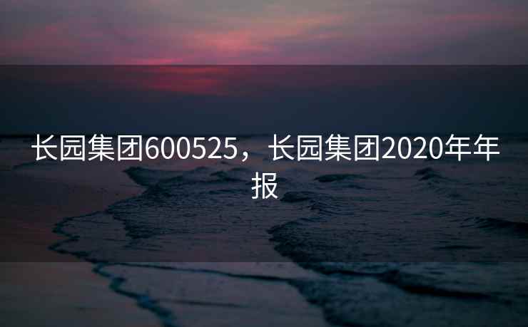 长园集团600525，长园集团2020年年报