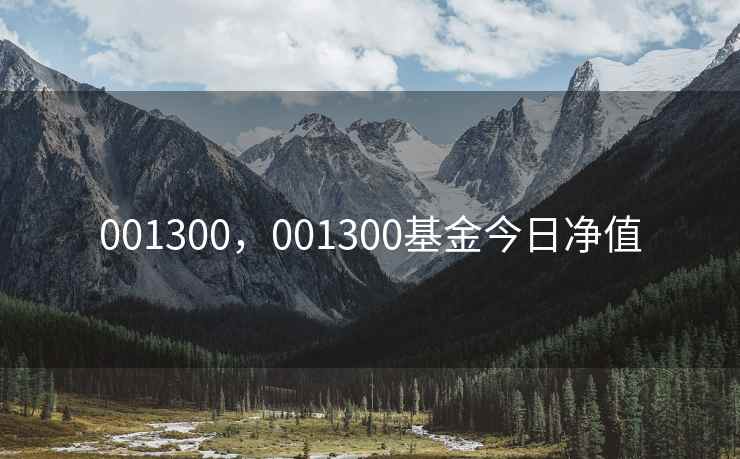 001300,001300基金今日净值 001300,001300基金今日净值