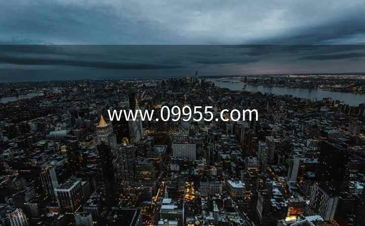 www.09955.com