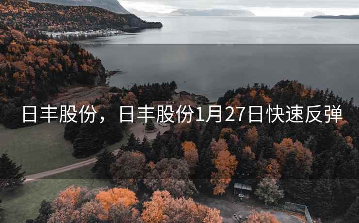 日丰股份，日丰股份1月27日快速反弹