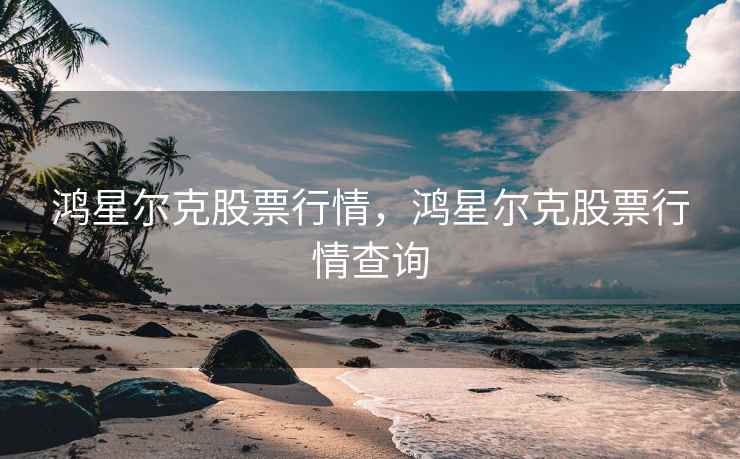 鸿星尔克股票行情，鸿星尔克股票行情查询