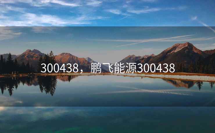 300438，鹏飞能源300438