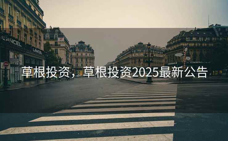 草根投资，草根投资2025最新公告