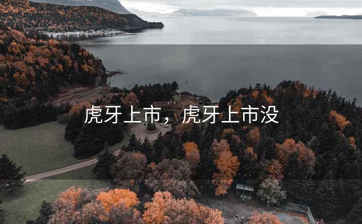 虎牙上市，虎牙上市没