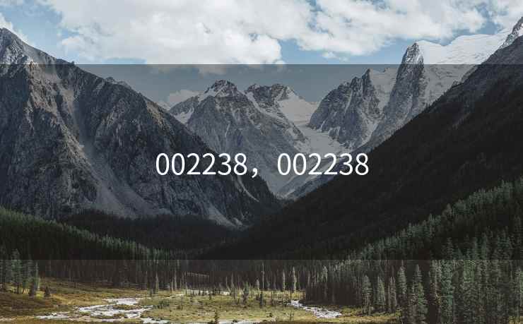 002238，002238