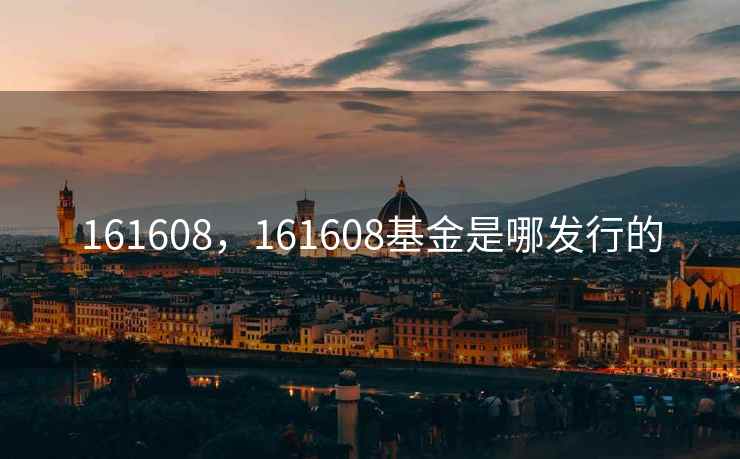 161608，161608基金是哪发行的