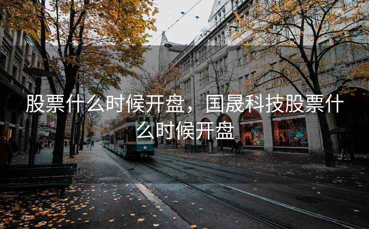 股票什么时候开盘，国晟科技股票什么时候开盘