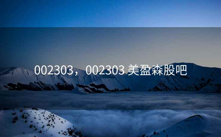 002303，002303 美盈森股吧