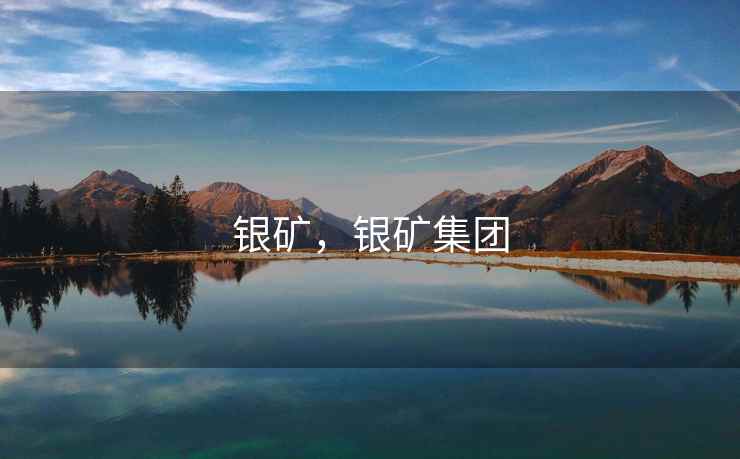 银矿，银矿集团